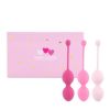 FeelzToys FemmeFit Advanced Pelvic Muscle Training Set — фото 1