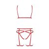 Passion Magali Set With Open Bra — фото 5