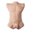 SilexD Apollo L Male Torso — фото 8
